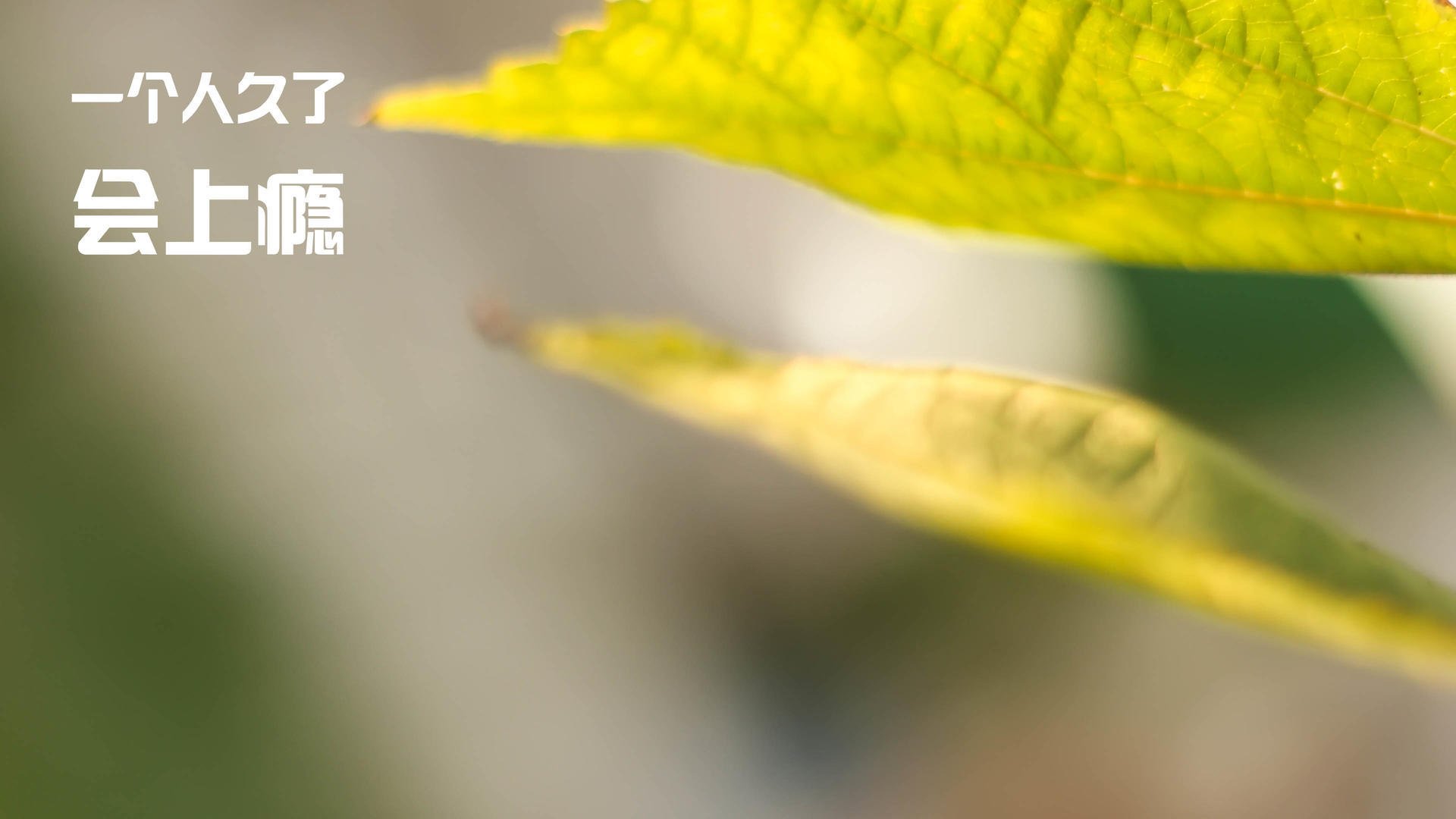 开云官网-场上沟通是否决定防守成败，沟通场合的重要性