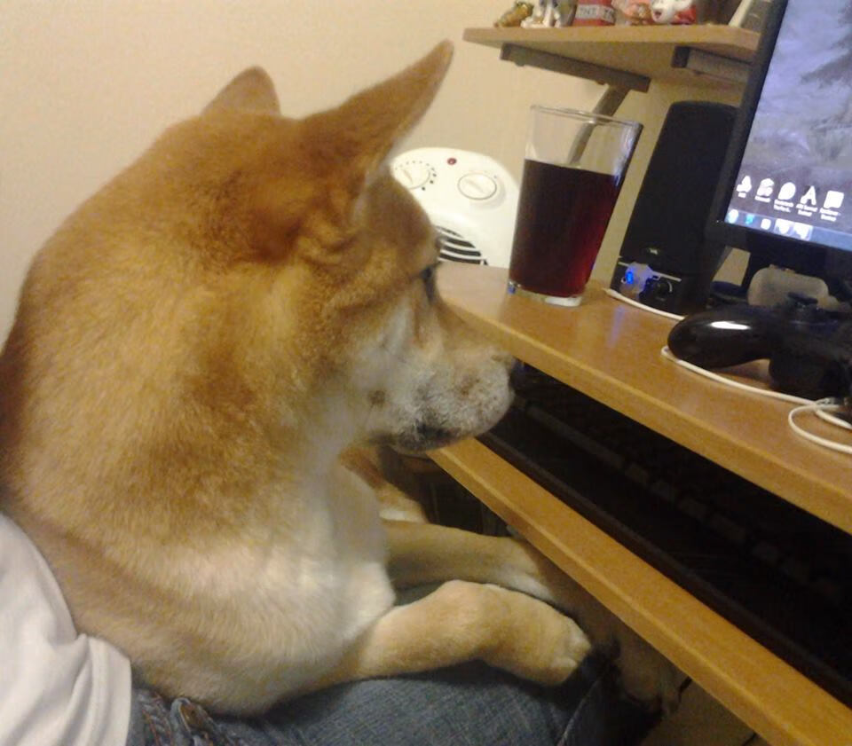 山西龙狮全队状态调整到位迎接高强度对抗，龙狮比赛视频