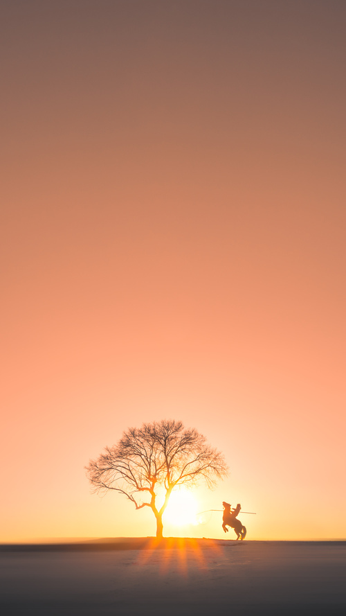 世界杯历史经典瞬间：永远难忘的比赛片段，世界杯经典回顾