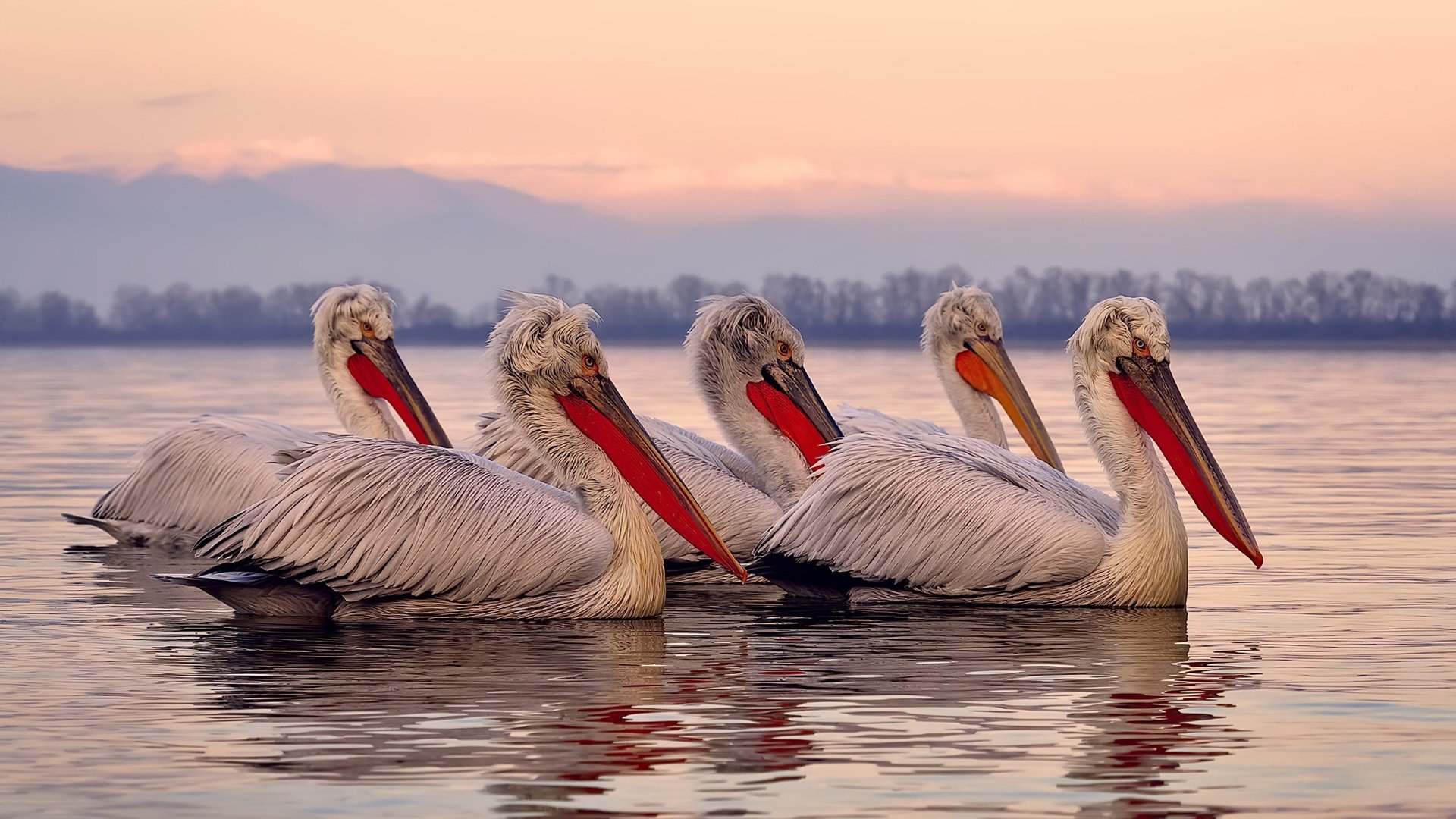 乔治·巴尔：以稳健的防守和精妙传球成为全黑队中场核心，乔治巴斯