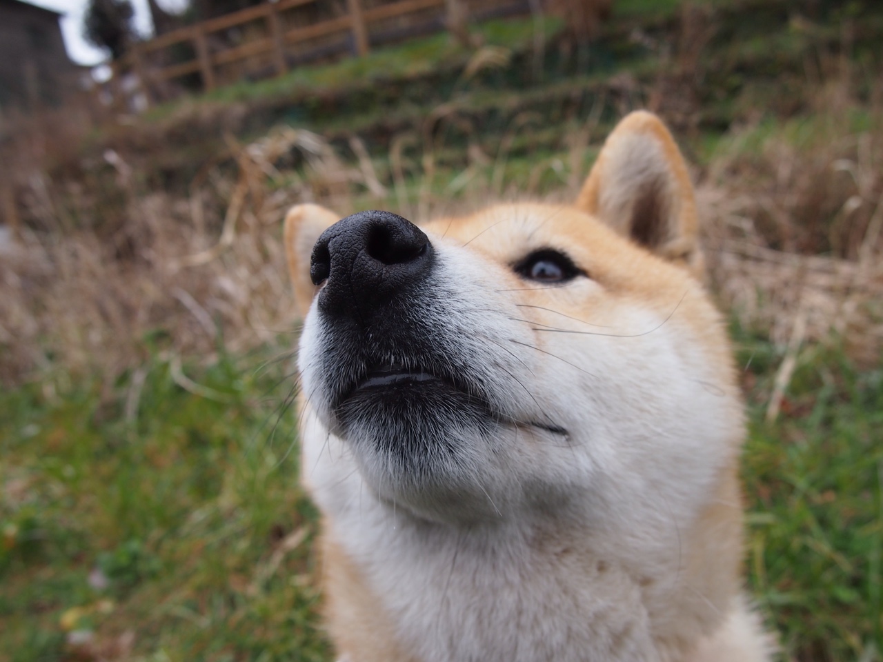 混合泳接力突尼斯团结协作显优势，混合泳接力是竞技游泳集体项目之一