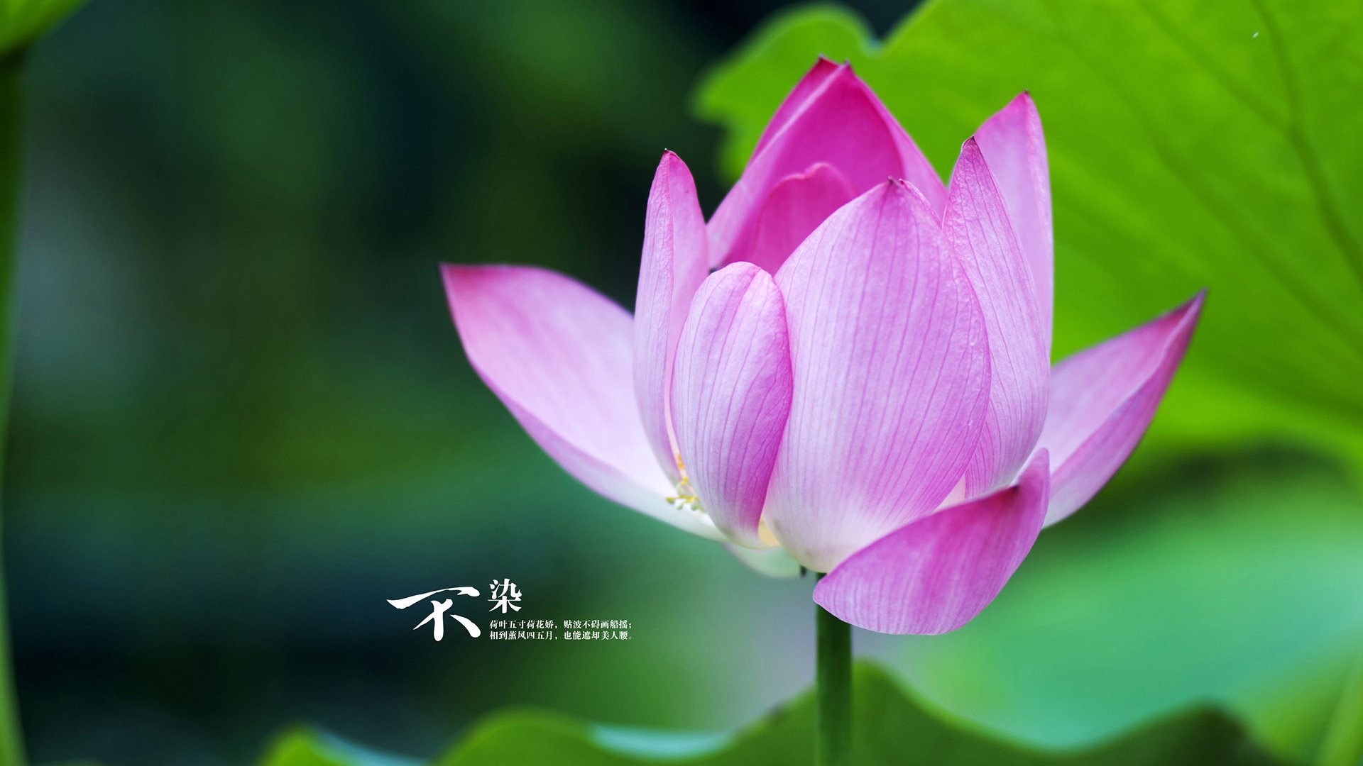 特色足球教育逐步推广至基层，畅通青少年成长路径，足球特色教育方案